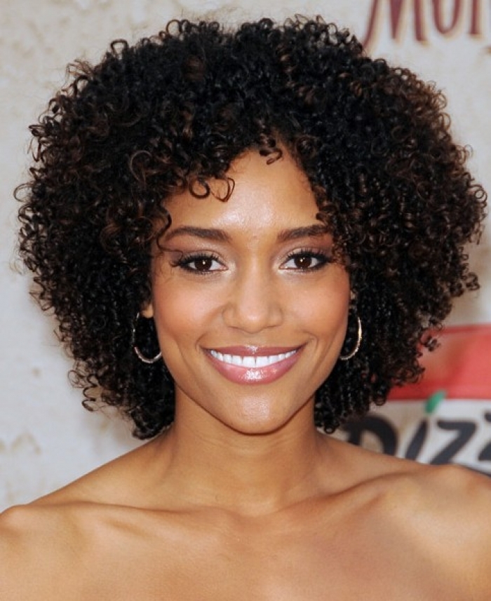 23 nice short curly hairstyles for black women hairstyles for woman Hairstyles For African American Naturally Curly Hair