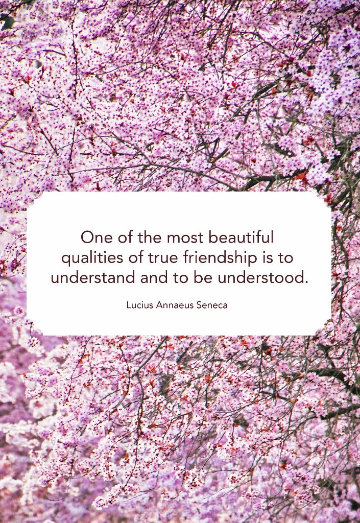 Best Quotes about friends 7