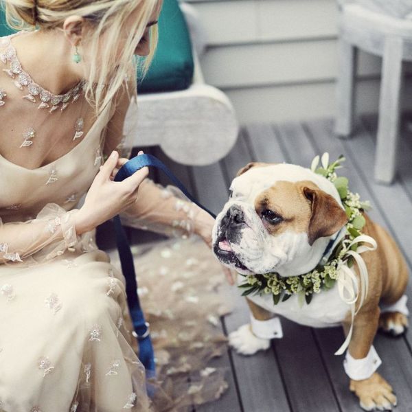 Include Your Pet In Wedding Pics